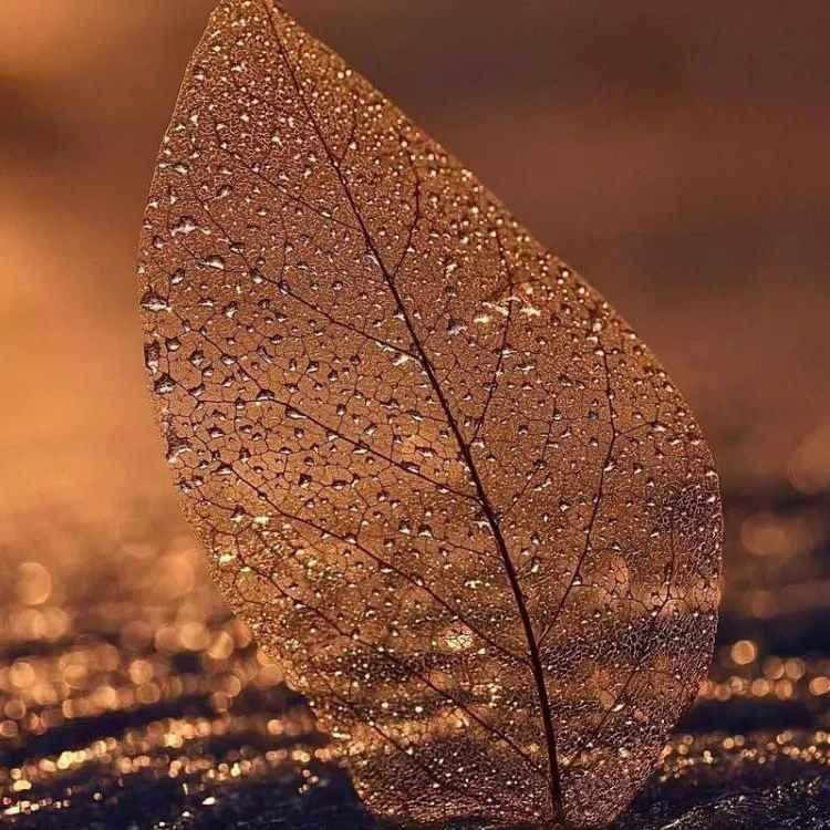 آهنگ جدید نه باج میدیم به اجنبی نه میدیم به عرب یه وجب خلیج